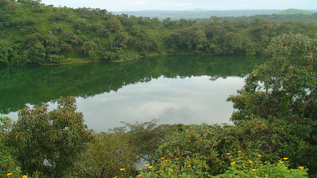 LAC TISON