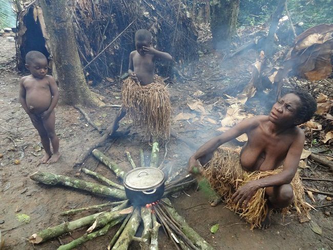 CAMPEMENT PYGMÉS DE LA RÉSERVE DU DJA