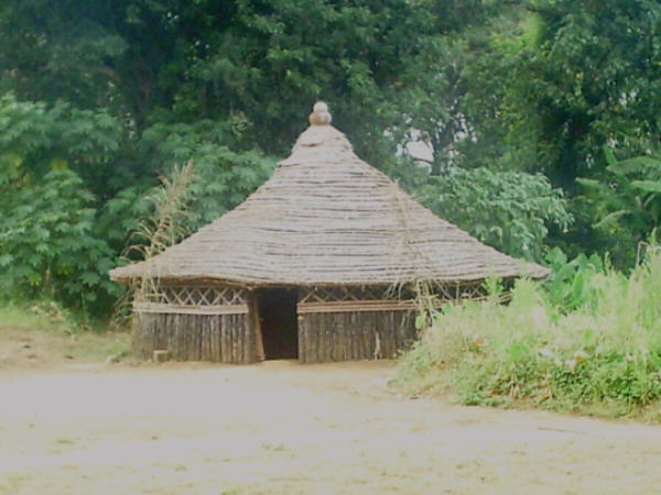 Parc national de Bakossi 2